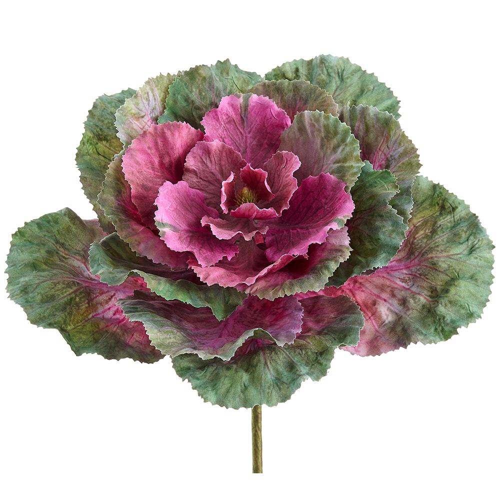 Artificial decorative cabbage plant with pink and green leaves on a white background
