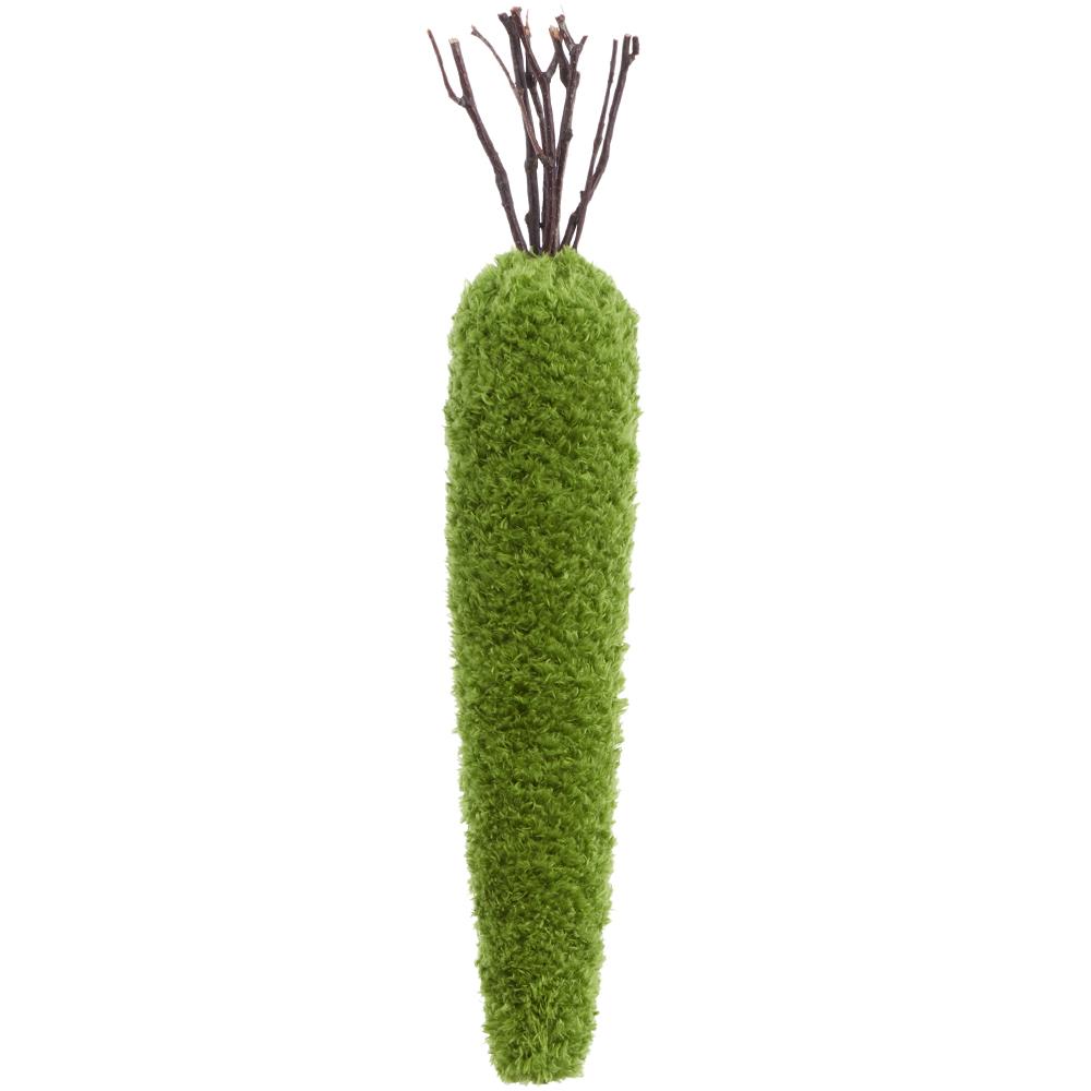Moss-covered carrot with a twig top on a white background