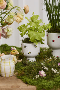 Decorative garden scene with pots, plants, and flowers on a wooden surface.