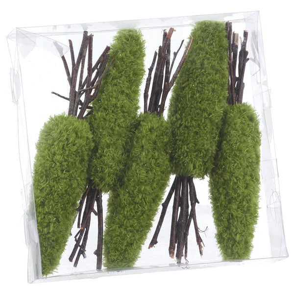 Green moss carrots with twig tops in a clear box on a white background.