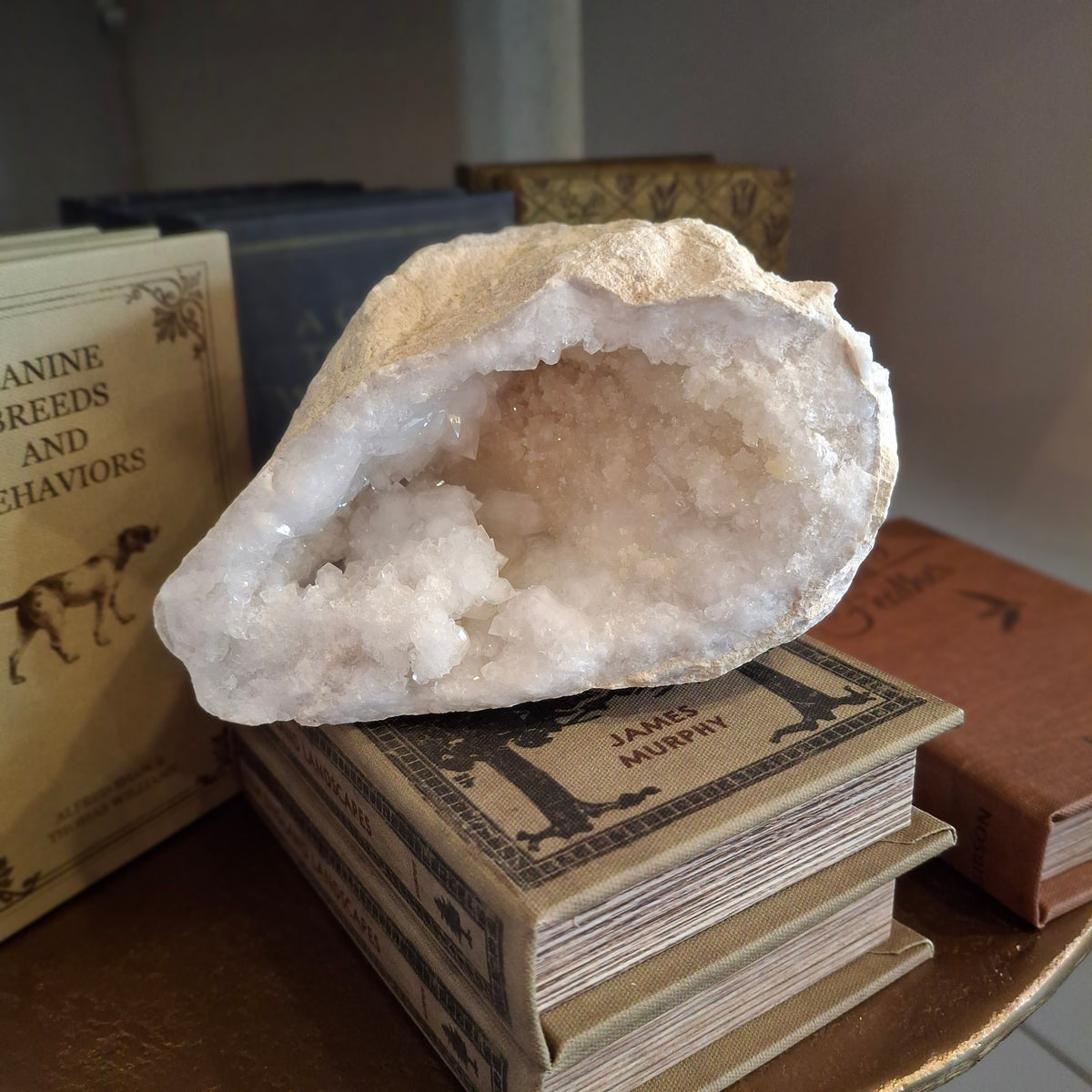 Split Quartz Geode