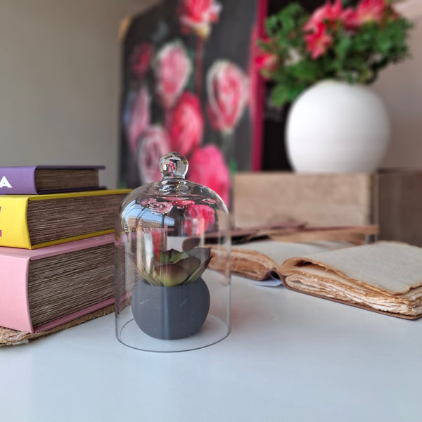 Mini Glass Dome Cloche