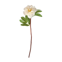 Peony Stem