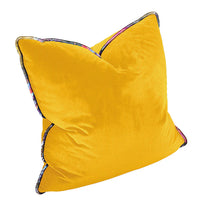 Velvet Pillow
