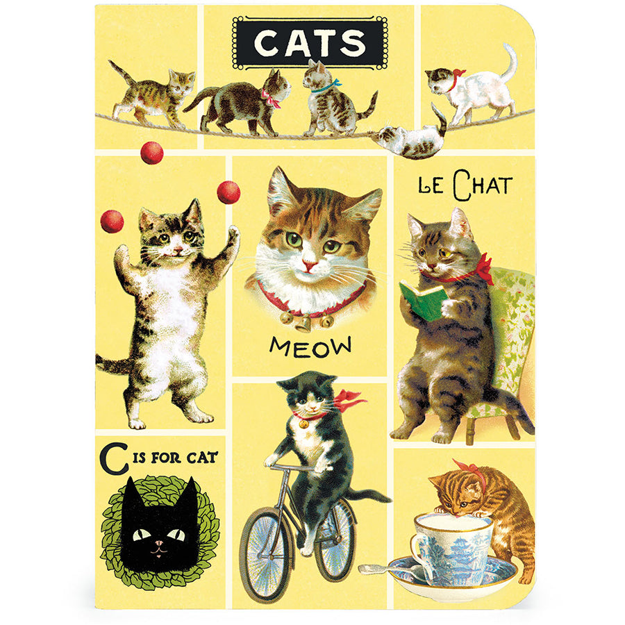 Illustrated notebook cover with various cats in different poses on a yellow background