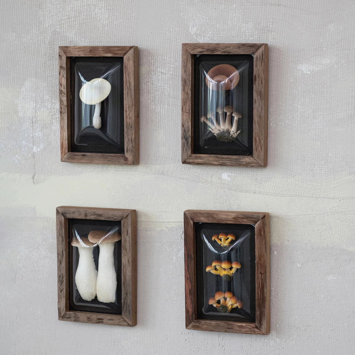 Wood Framed Faux Mushroom Shadow Box