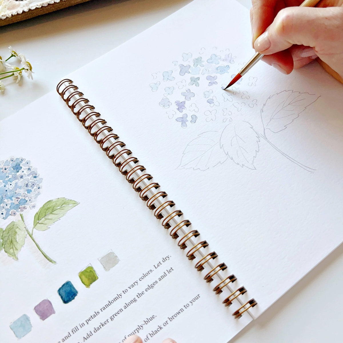 Garden Watercolor Workbook