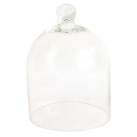 Mini Glass Dome Cloche