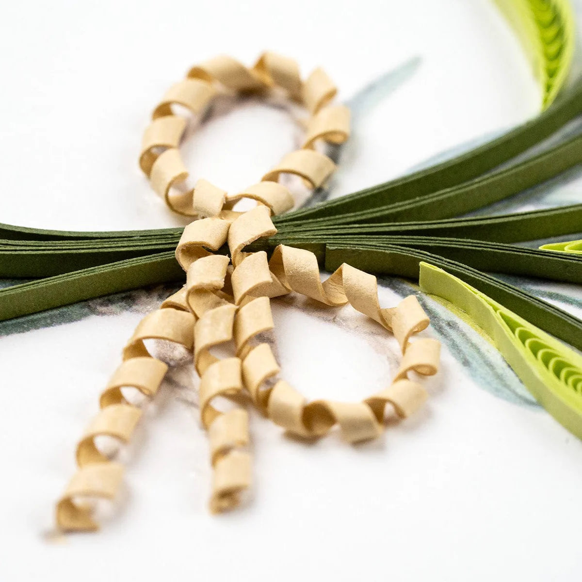 Quilled beige ribbon loops on a white background