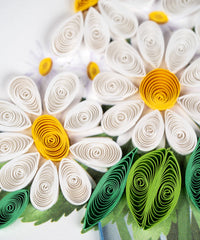 Close-up of quilled daisies with white petals and yellow centers on a white background