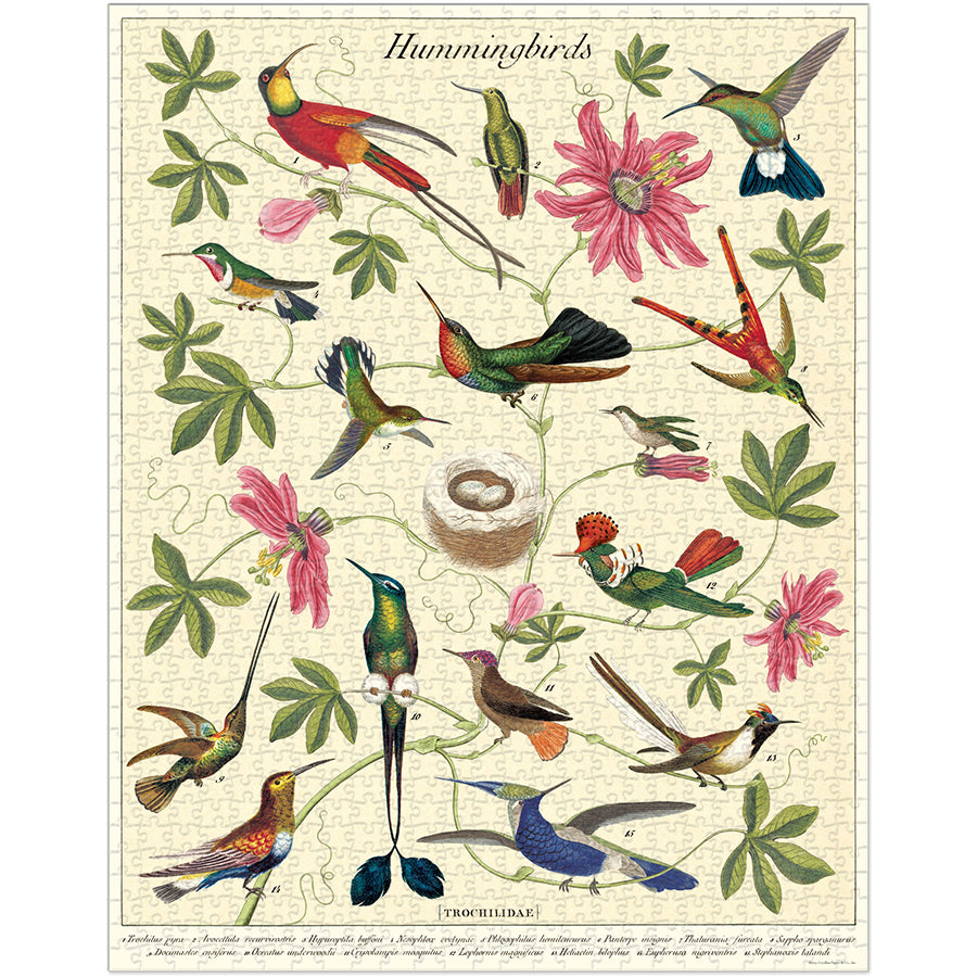 Illustration of hummingbirds and flowers on a beige background