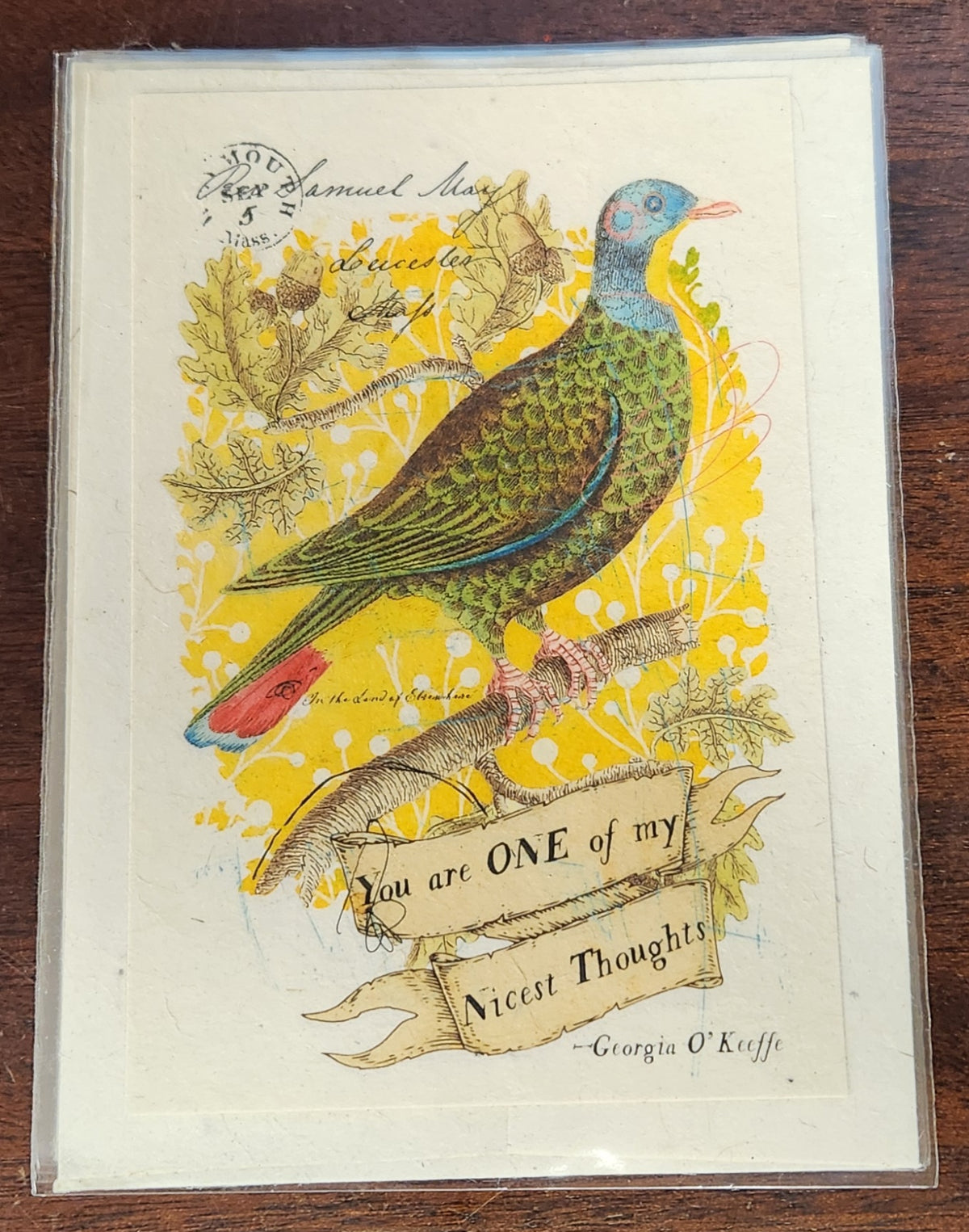 Wildflower Seeded Paper Post Card With Envelope 4x6