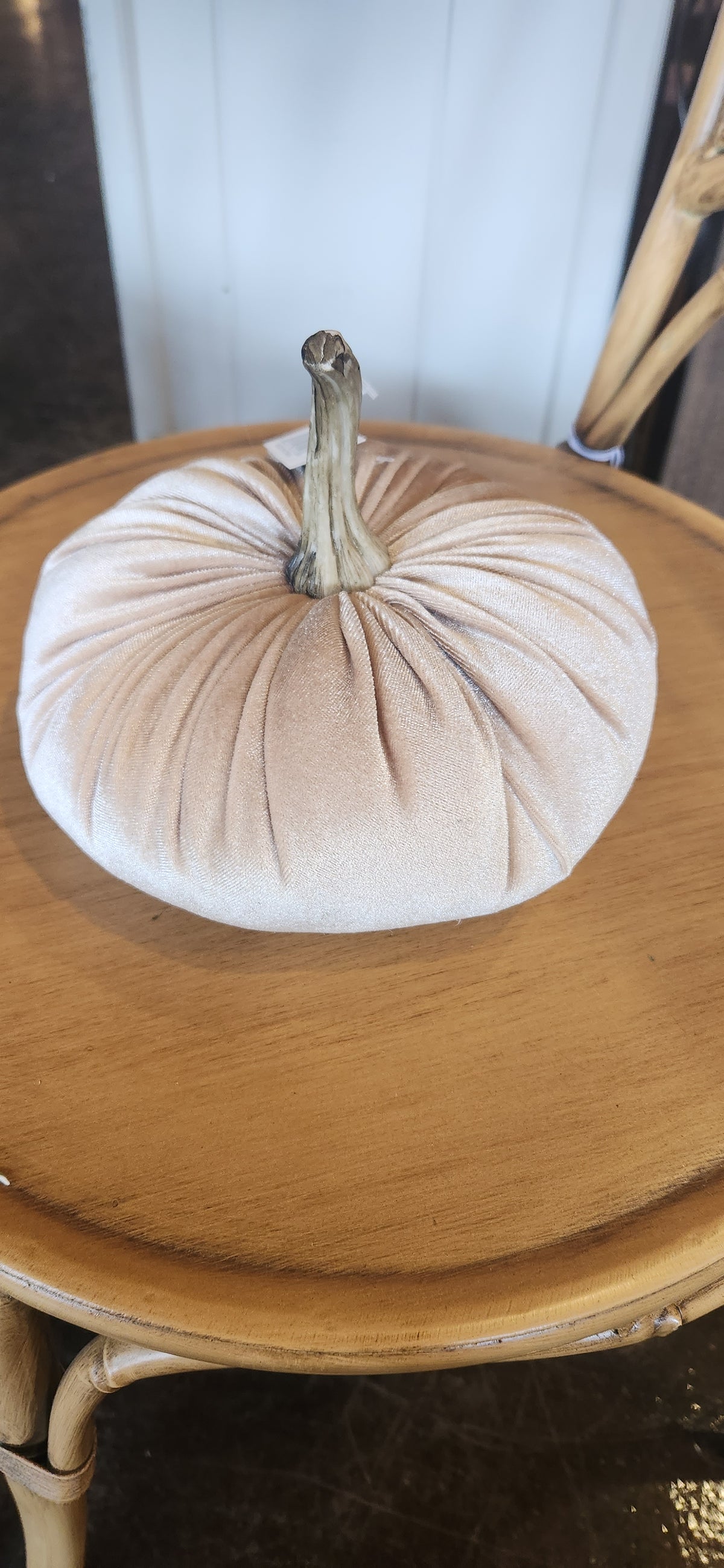 Cream Velvet Pumpkin