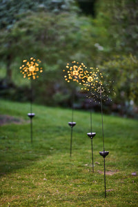 Decorative garden lights with glowing spheres on grassy ground
