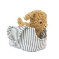 Plush brown puppy in a blue and white striped bag on a white background