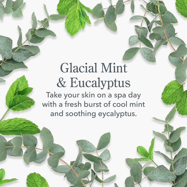 Beekman 1802 Glacial Mint & Eucalyptus Gift Set