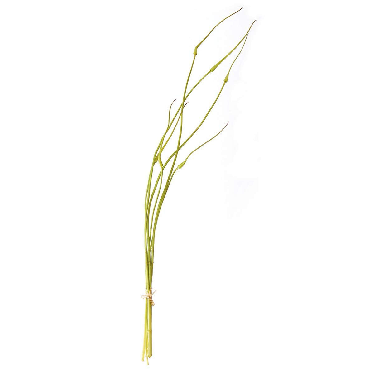 A artificial allium bud with green leaves, tied together, suitable for indoor decoration.