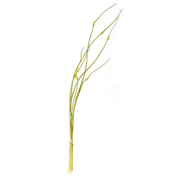 A artificial allium bud with green leaves, tied together, suitable for indoor decoration.